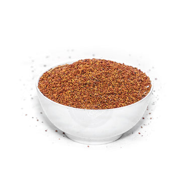 ALFALFA SEEDS / JATH SEEDS / LUCERNE SEEDS