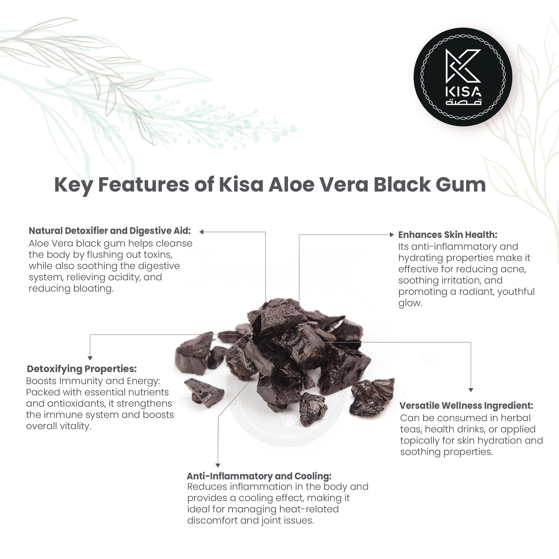 black aloe vera plant benefits MUSABAR - SABAR