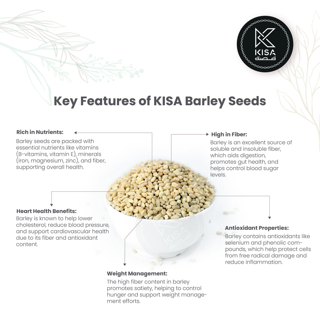 BARLEY SEEDS / BARLEY MILLED ( BRAN LESS )