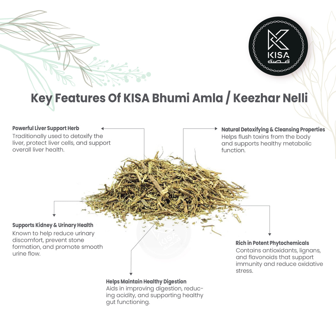 KEEZHARNELLI POWDER /BHUMI AMLA POWDER/ GALE OF THE WIND POWDER