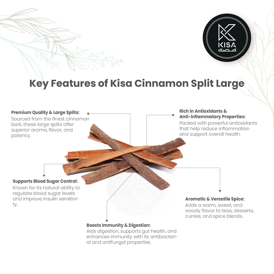 CASSIA CINNAMON SPLIT LARGE