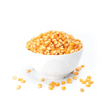 POPCORN LARGE