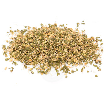 DEHYDRATED MOONG SPROUTS / MUNG BEAN SPROUTS