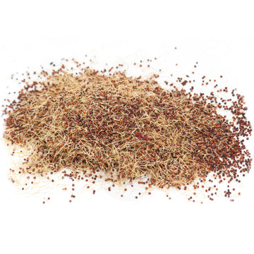 DEHYDRATED SPROUTED RAGI / DEHYDRATED FINGER MILLET SPROUTS