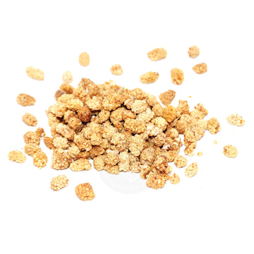 DRIED MULBERRY FRUIT