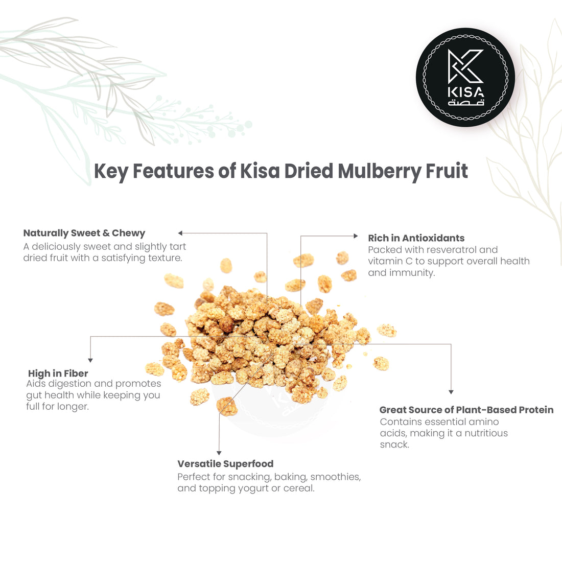 DRIED MULBERRY FRUIT