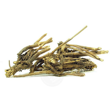 ECHINACEA ROOTS