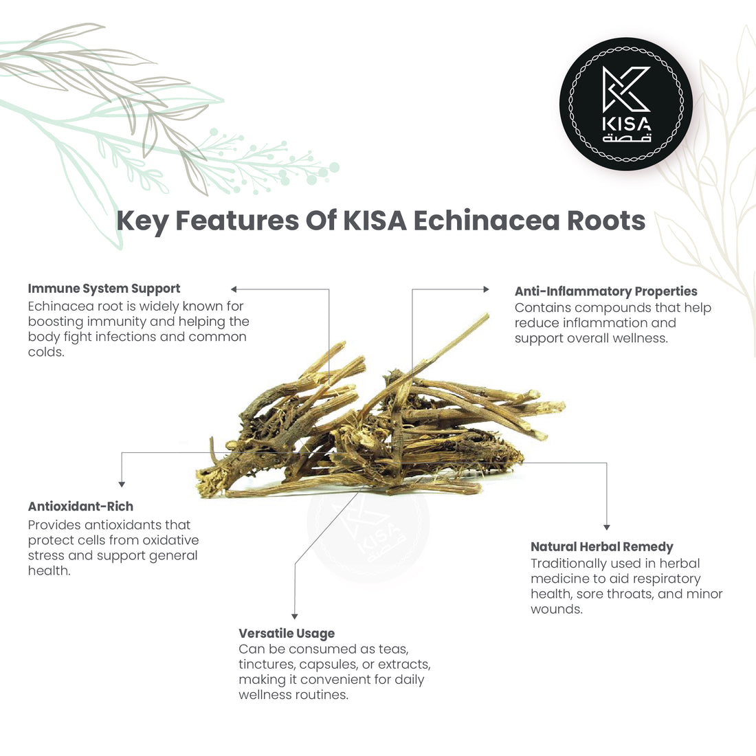 ECHINACEA ROOTS