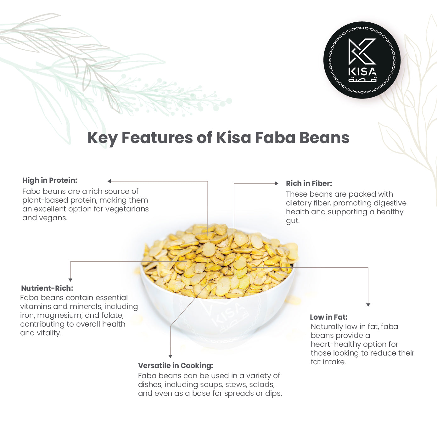 FABA BEANS SPLIT / FOUL MAJROOSH – Kisa Flour Mills