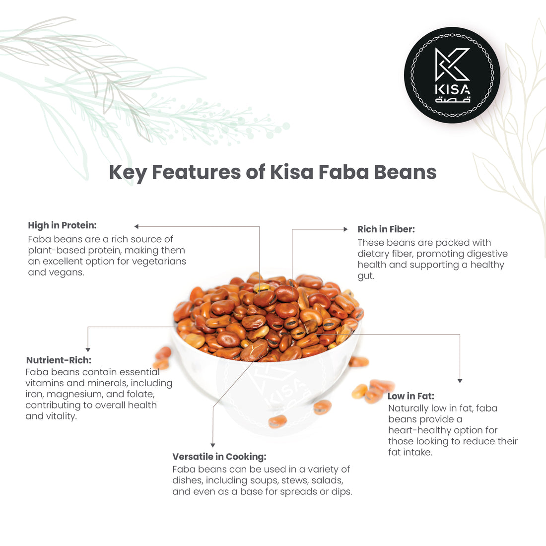 FABA BEANS/ FOUL MISRI