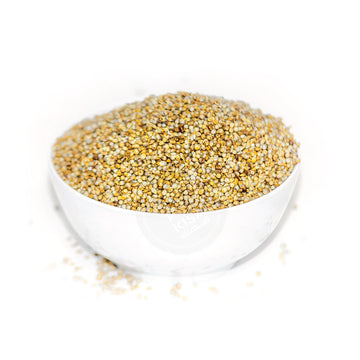 SORGHUM WHITE / JOWAR