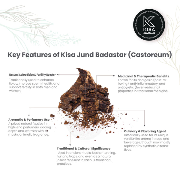 JUND BEDASTAR / CASTOREUM 10 GM – Kisa Flour Mills