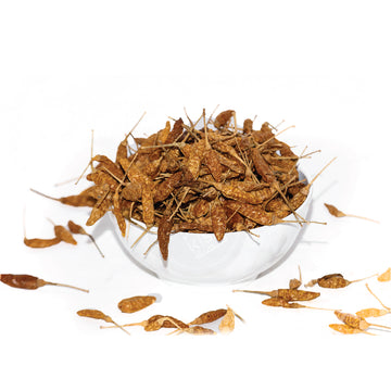 BIRDS EYE CHILLI (KONDATTAM)