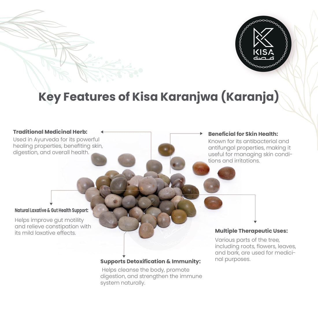 KARANJAWA SEEDS / KHRANJAWA / FEVER NUT