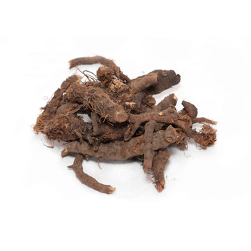 ANJBAR ROOTS - ANZBAR