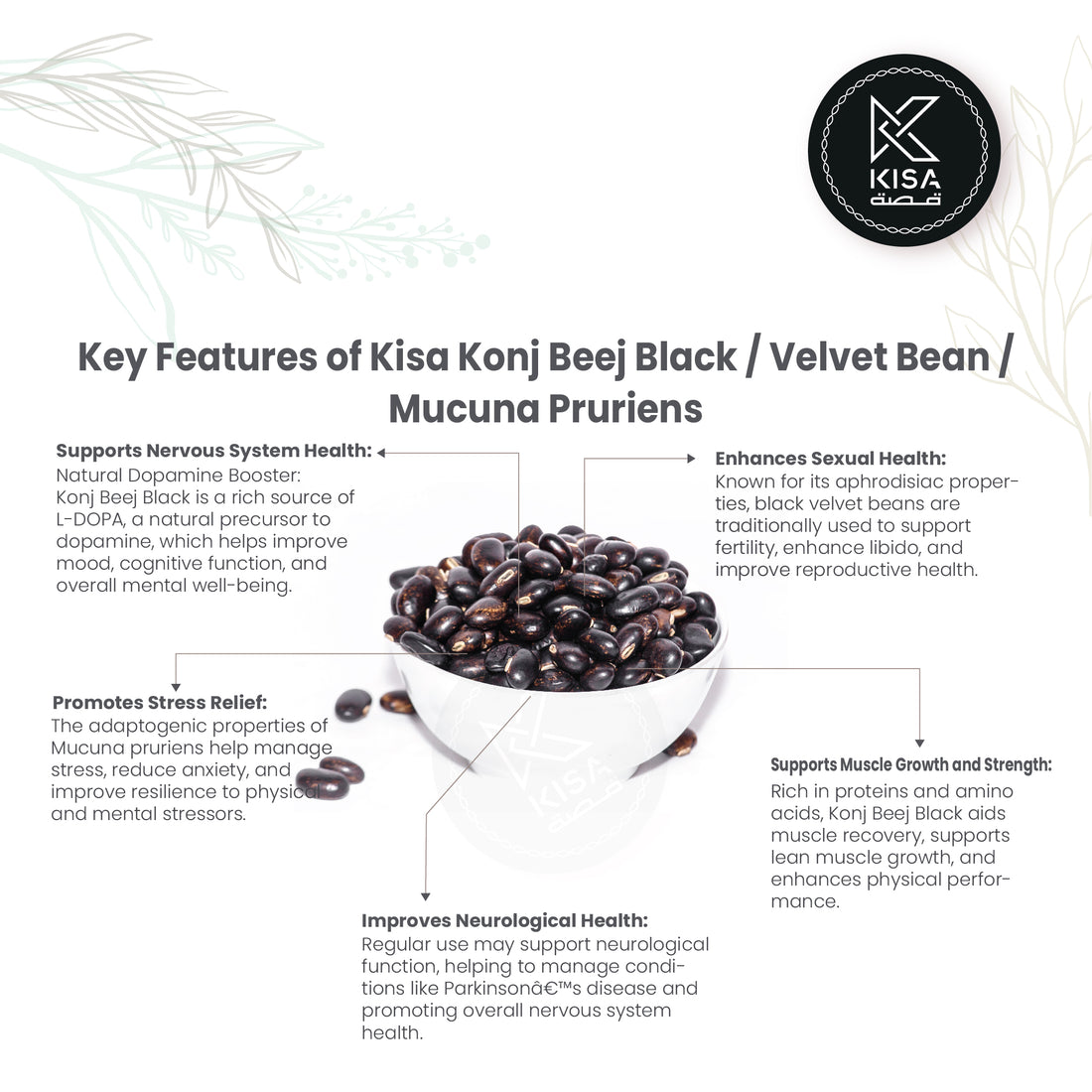 KONJ BEEJ BLACK / VELVET BEAN BLACK /MUCUNA PRURIENS / NAIKURANA
