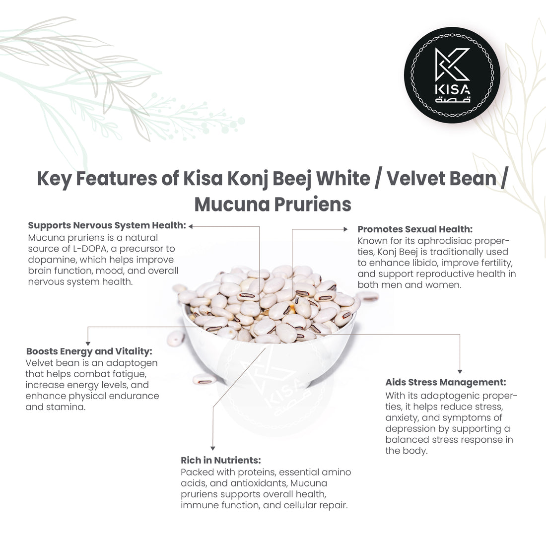 KONJ BEEJ WHITE / VELVET BEAN / MUCUNA PRURIENS / NAIKURANA