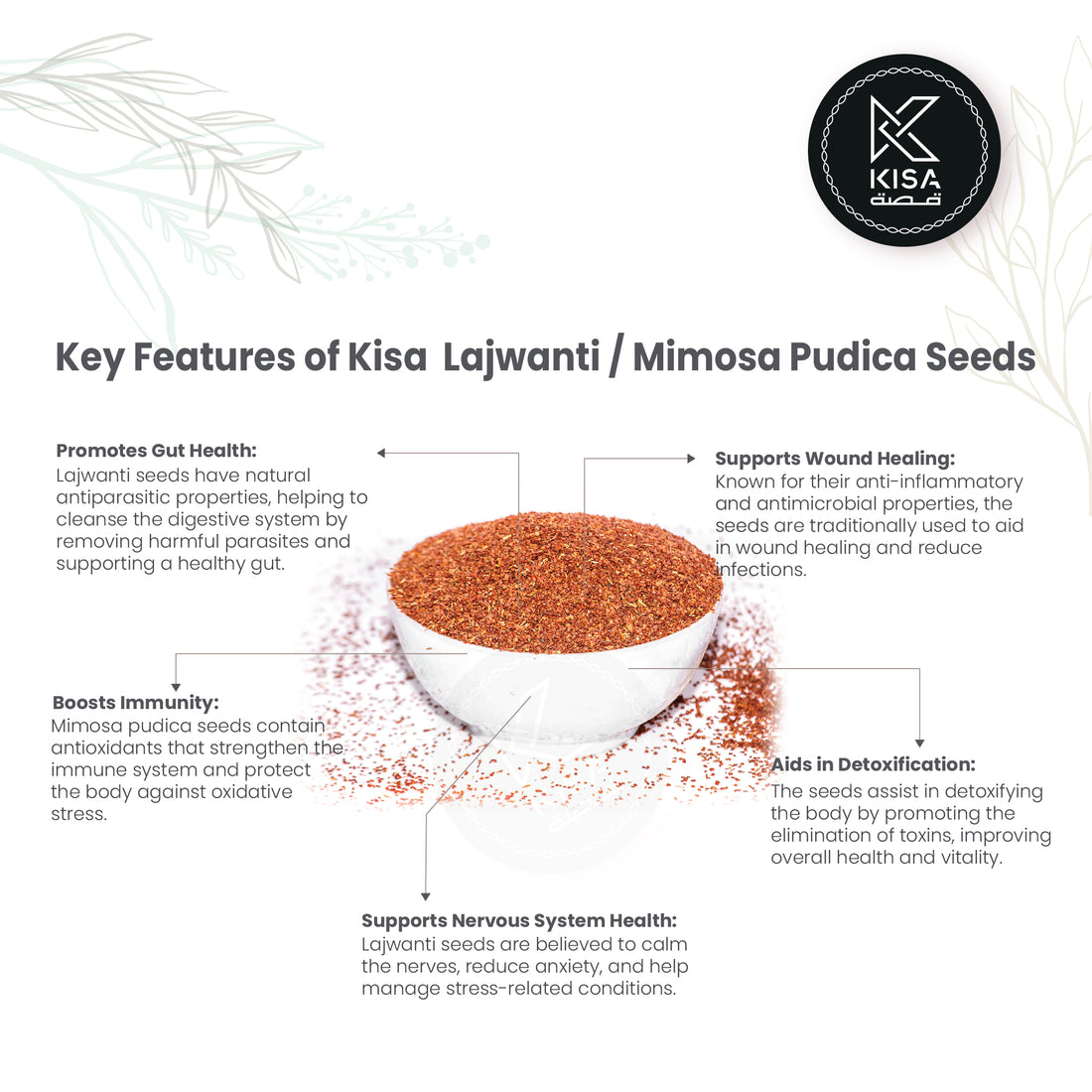 LAJWANTI SEEDS / MIMOSA PUDIKA SEEDS