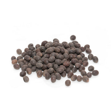 LOTUS SEEDS / KAMAL GUTTA