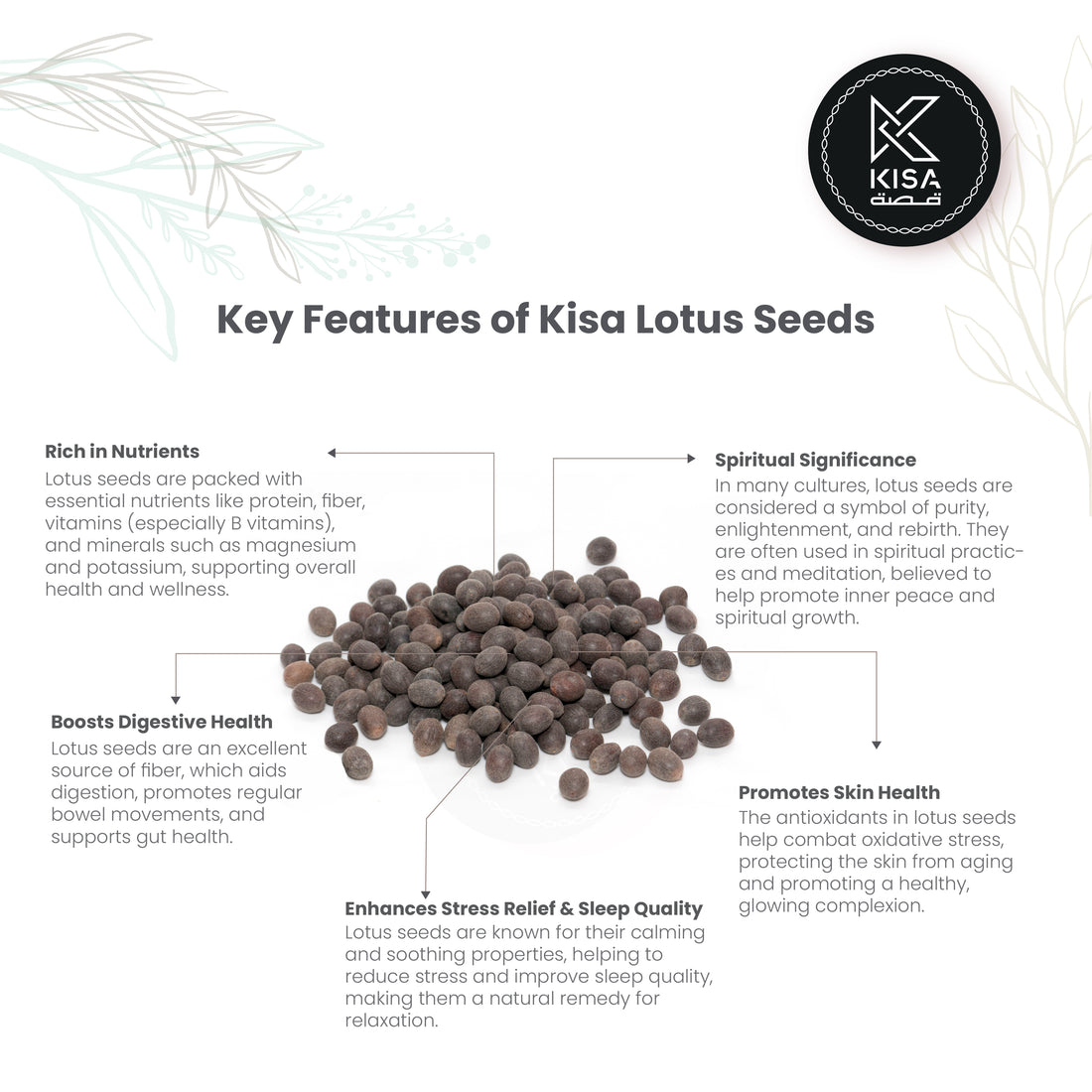 LOTUS SEEDS / KAMAL GUTTA