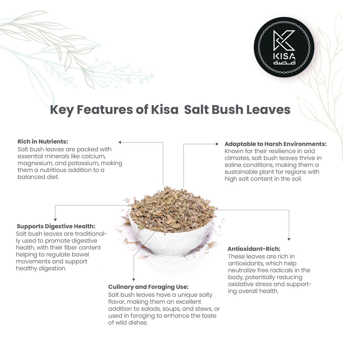 SALTBUSH - ASHAB AL KHATAF -MARWAKASH