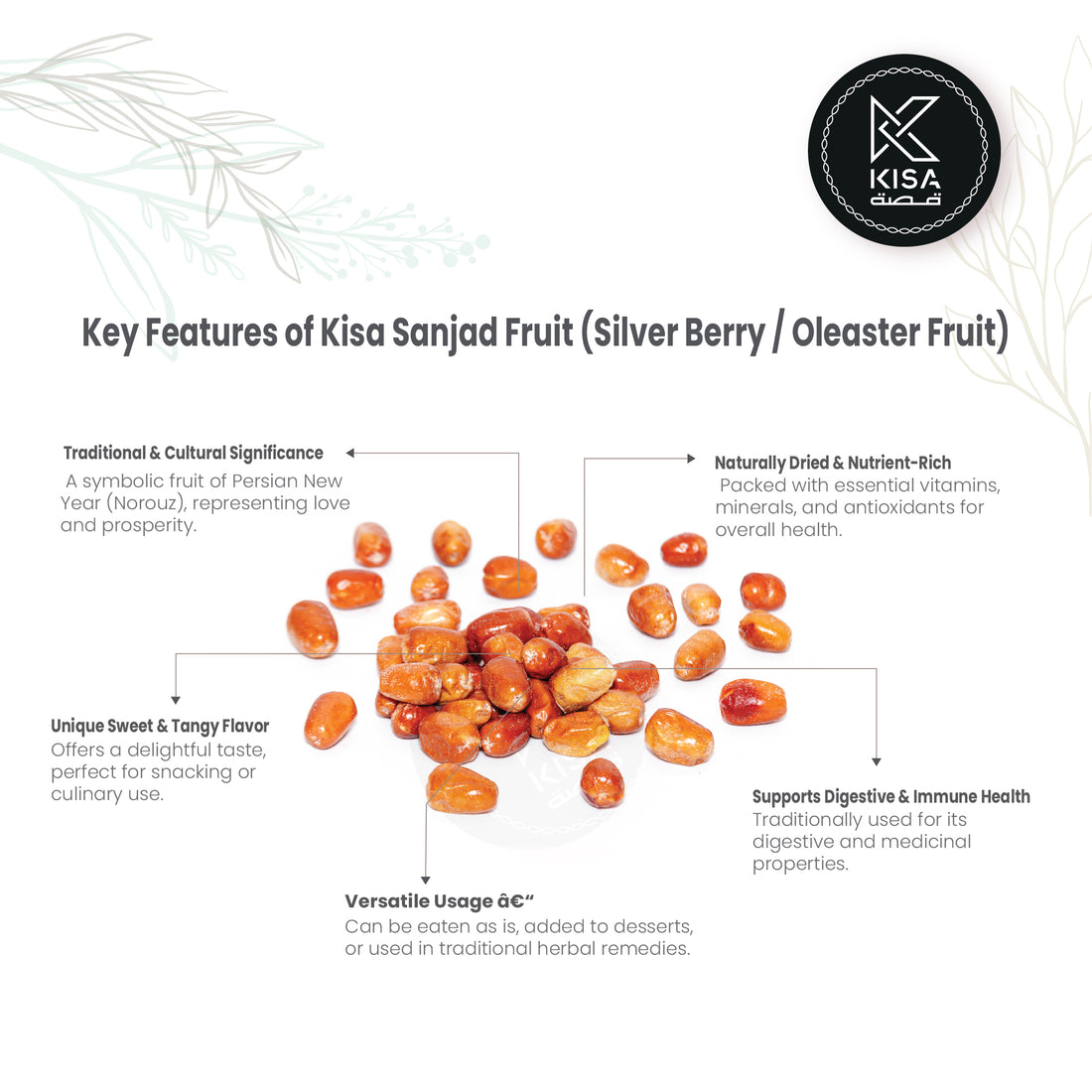 SANJAD / SILVER BERRY / OLEASTER FRUIT