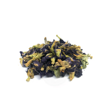 BUTTERFLY PEA FLOWER / SHANGUPUSHPI FLOWER / BLUE MATCHA / ASIAN PIGEONWINGS