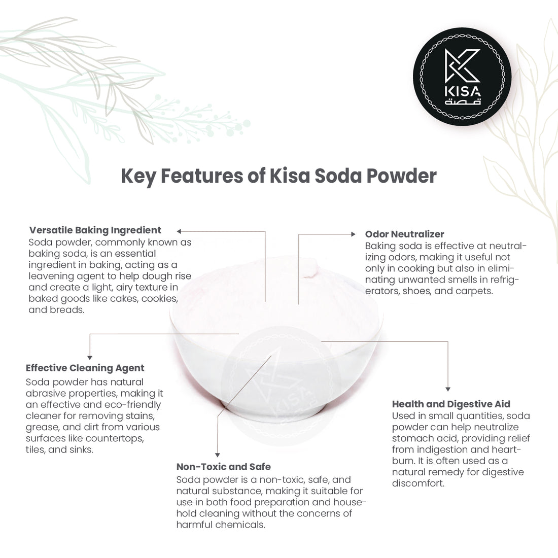 SODA POWDER / BICARBONATE SODA