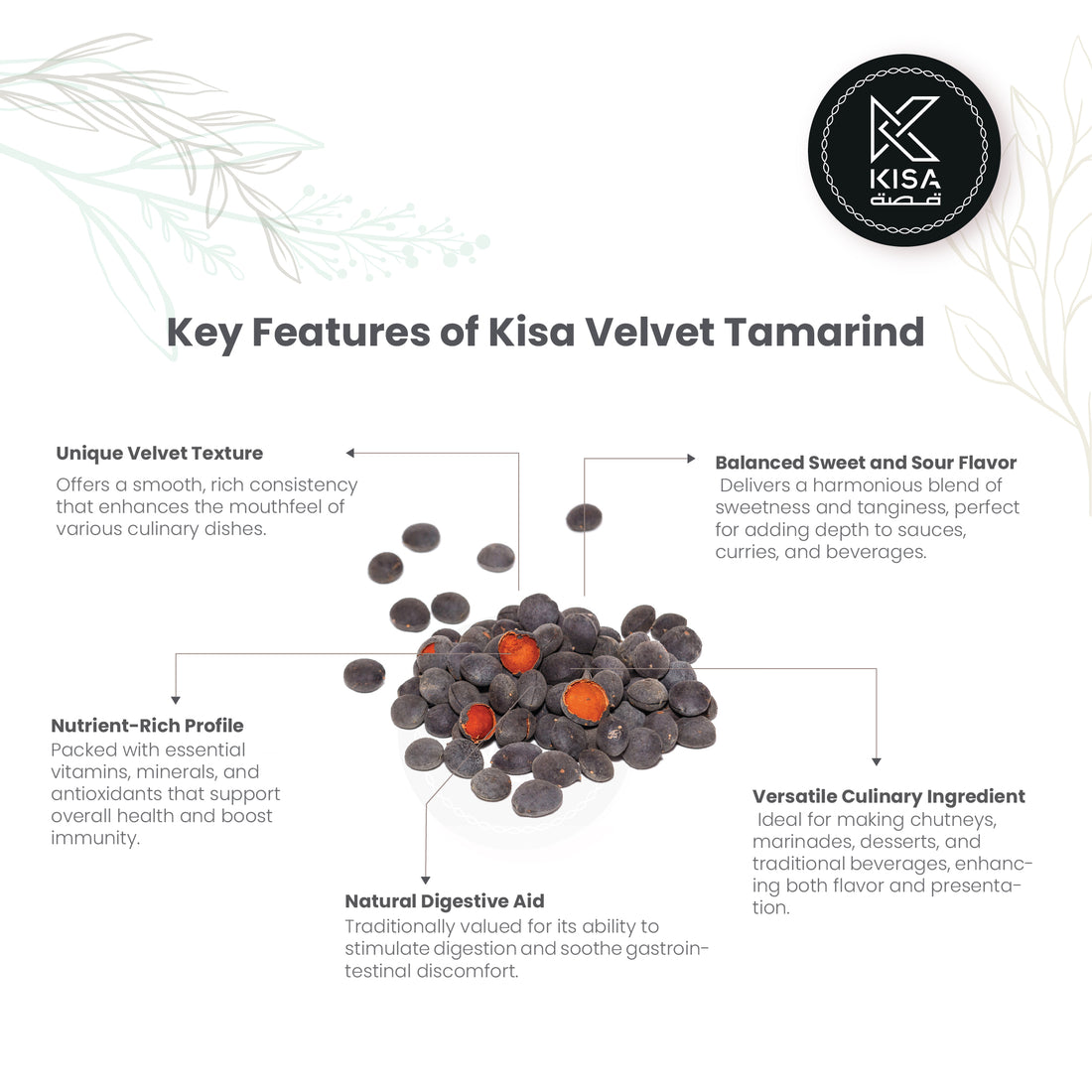 VELVET TAMARIND / DIALIUM INDUM