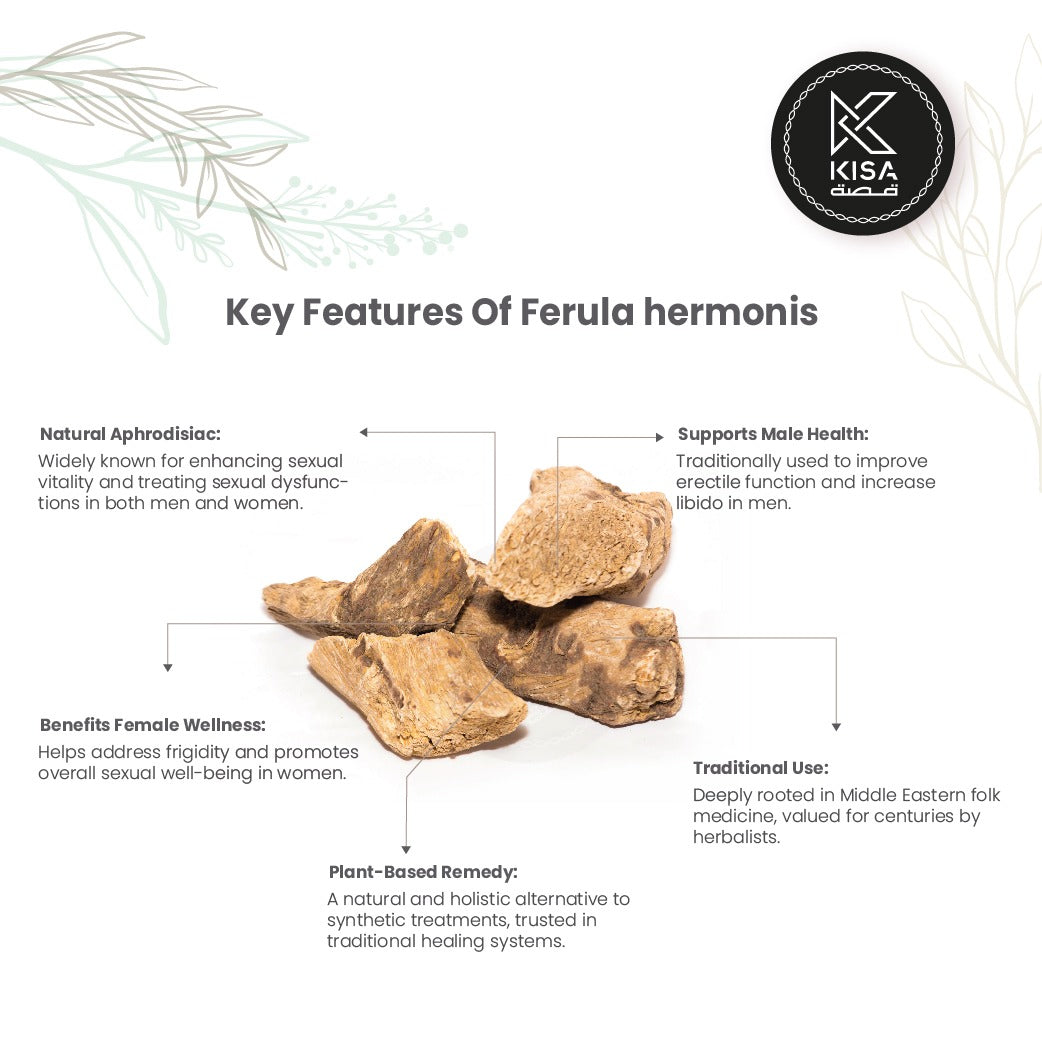 FERULA HERMONIS / SHARSH EL ZALOUA /RAPIDE ZALLOUH ROOTS