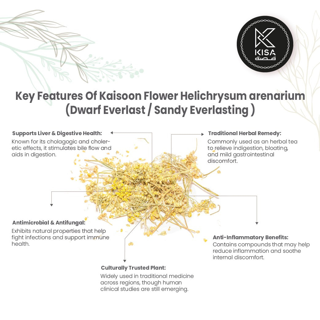 KAISOON FLOWER / HELICHRYSUM ARENARIUM / DWARF EVERLAST